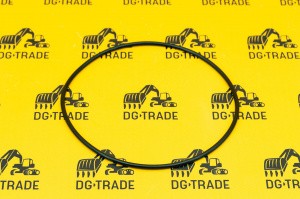 Уплотнительное кольцо КПП (Original) 2403/0244