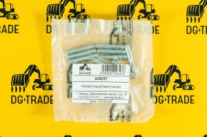 Ролики подшипника Carraro 028297